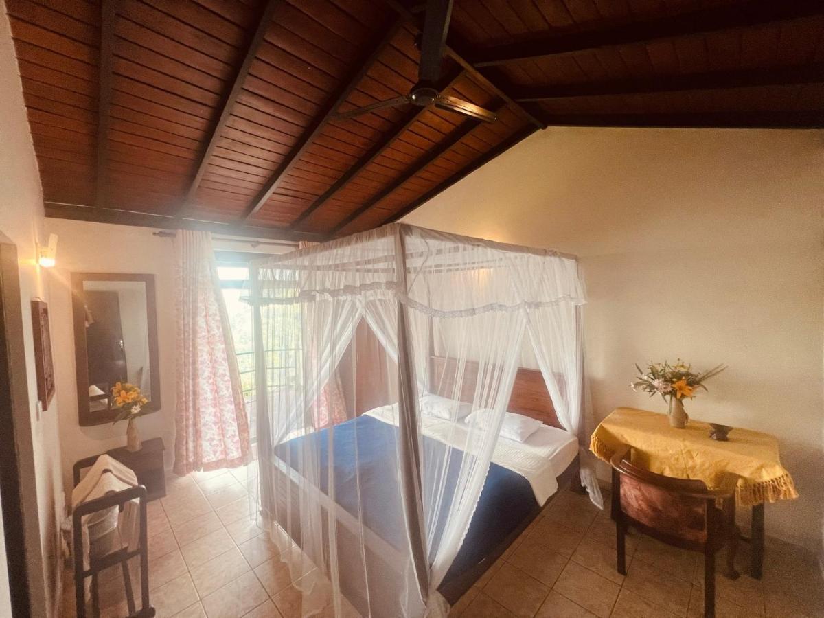 Ambiente Guest House Ella Zewnętrze zdjęcie