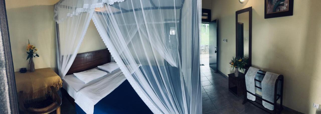 Ambiente Guest House Ella Zewnętrze zdjęcie